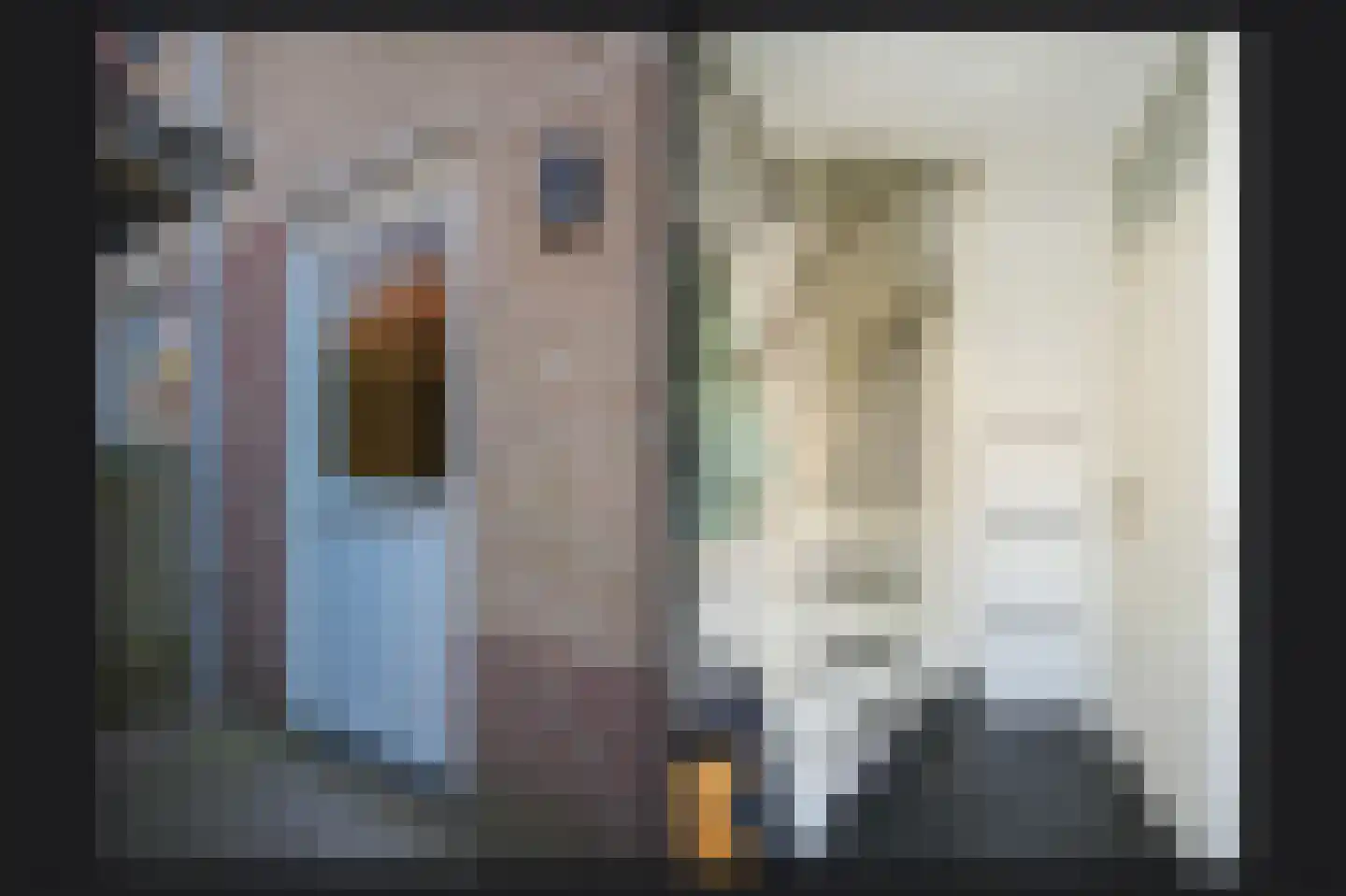 Visserij 52 Zaltbommel thumbnail 8