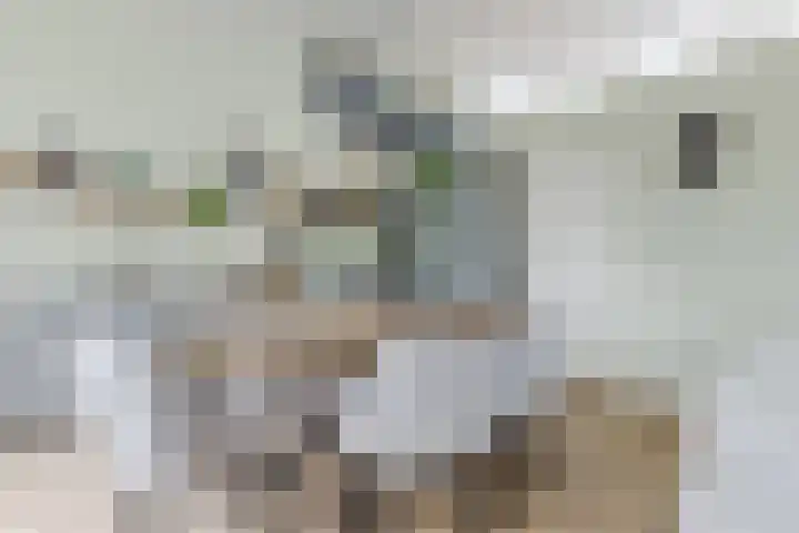 Visserijschool 9 Katwijk thumbnail 11