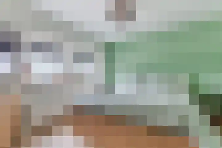 Visserijschool 9 Katwijk thumbnail 16