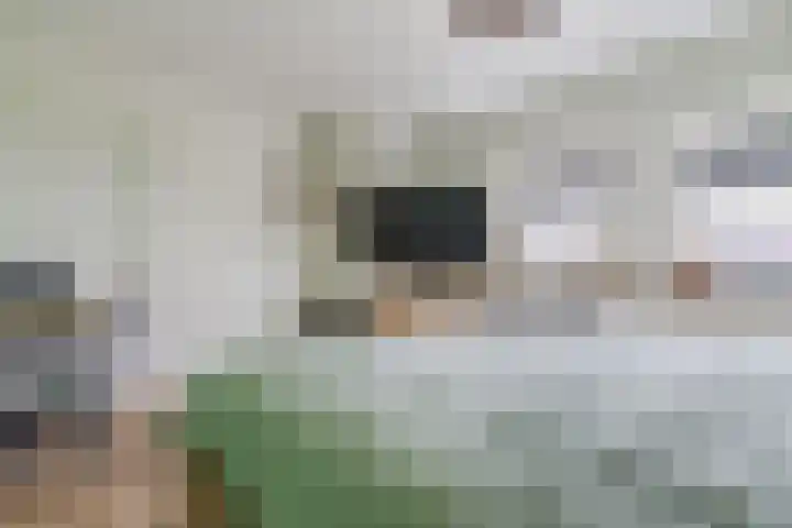 Visserijschool 9 Katwijk thumbnail 18
