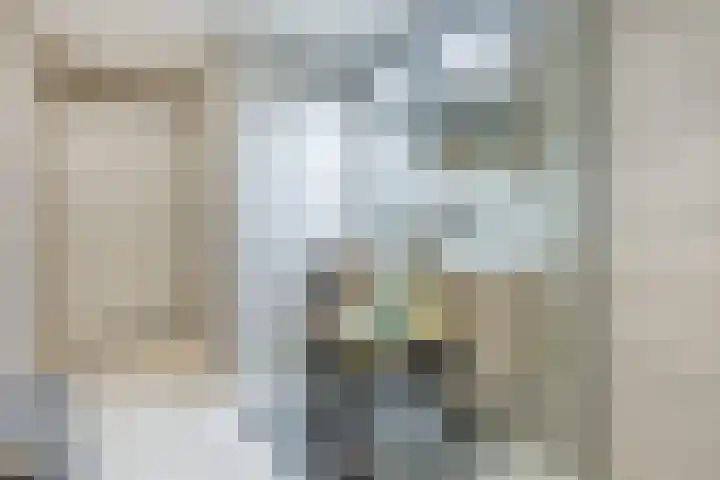 Visserijschool 9 Katwijk thumbnail 22