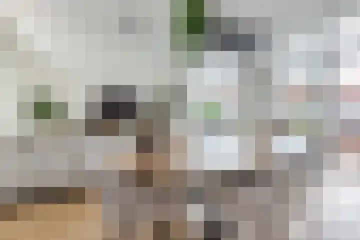 Visserijschool 9 Katwijk thumbnail 6