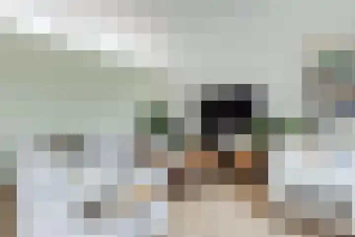 Visserijschool 9 Katwijk thumbnail 7