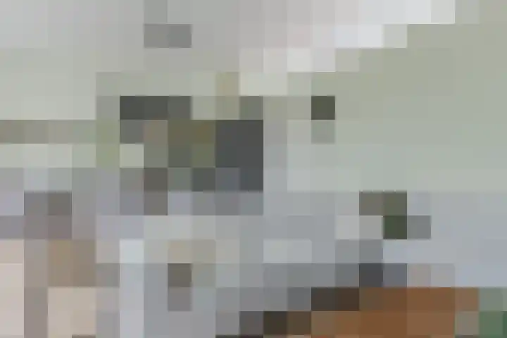 Visserijschool 9 Katwijk thumbnail 9