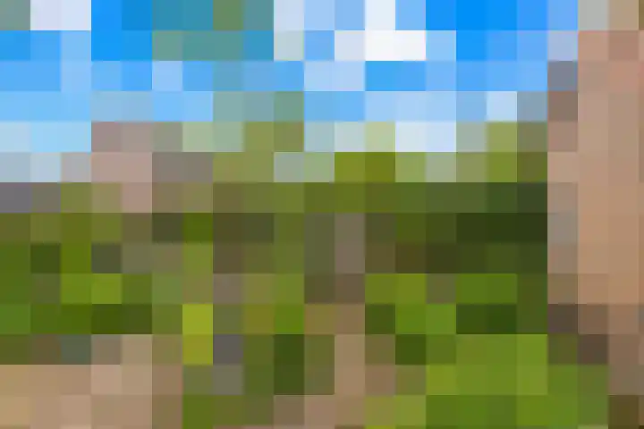 Visserijstraat 11 Krimpen aan de Lek thumbnail 26
