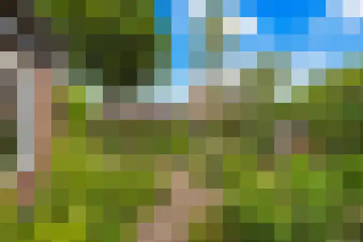 Visserijstraat 11 Krimpen aan de Lek thumbnail 27