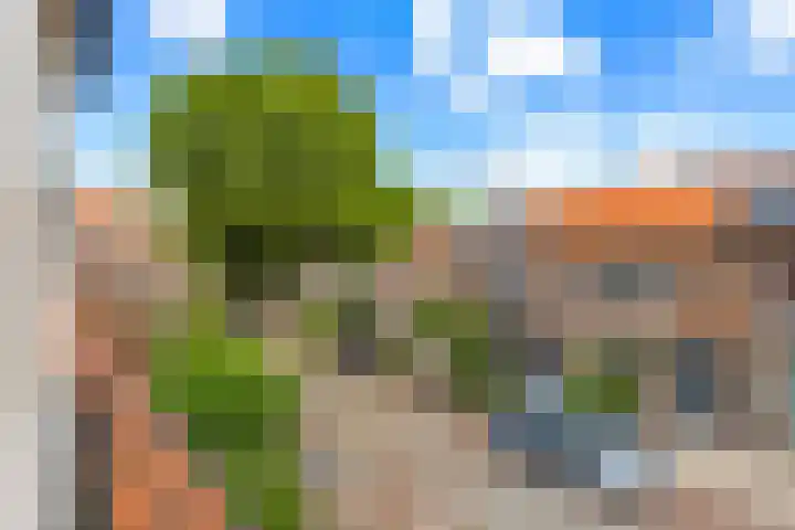 Visserijstraat 11 Krimpen aan de Lek thumbnail 32