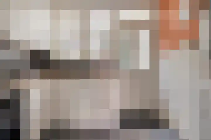 Visserijstraat 20 Breskens thumbnail 13