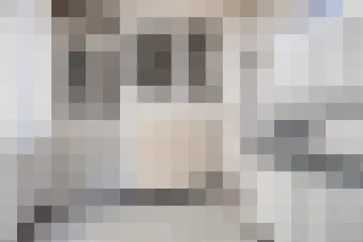 Visserijstraat 20 Breskens thumbnail 18
