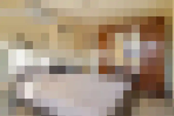 Visserijstraat 20 Breskens thumbnail 20