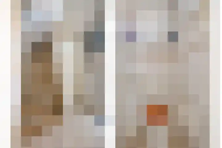 Visserijstraat 20 Breskens thumbnail 6