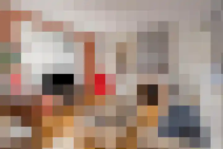 Visserijstraat 20 Breskens thumbnail 7