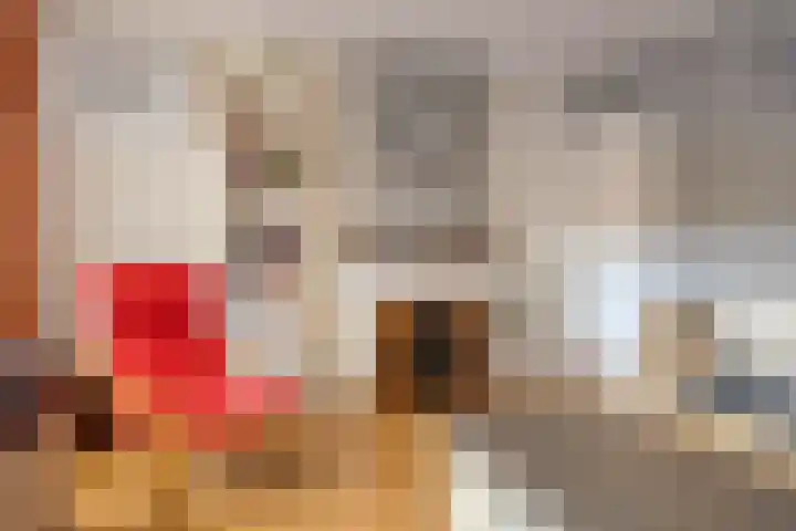 Visserijstraat 20 Breskens thumbnail 9