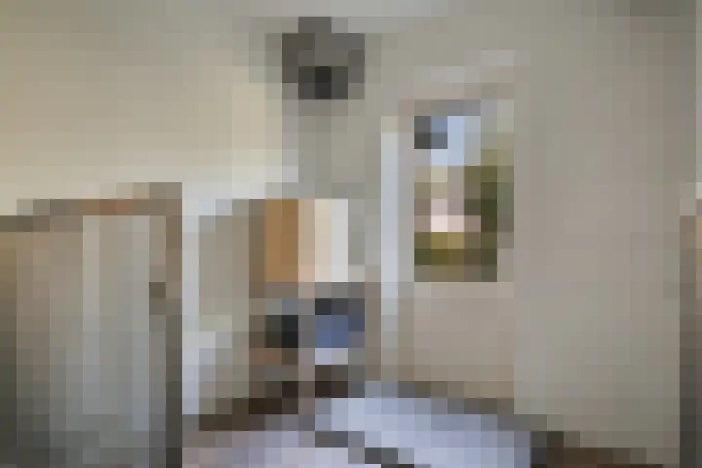 Visserijstraat 31 Wissenkerke thumbnail 17
