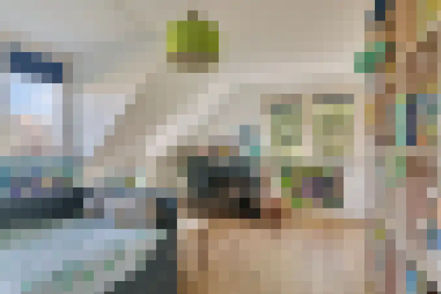 Visserijstraat 31 Wissenkerke thumbnail 26