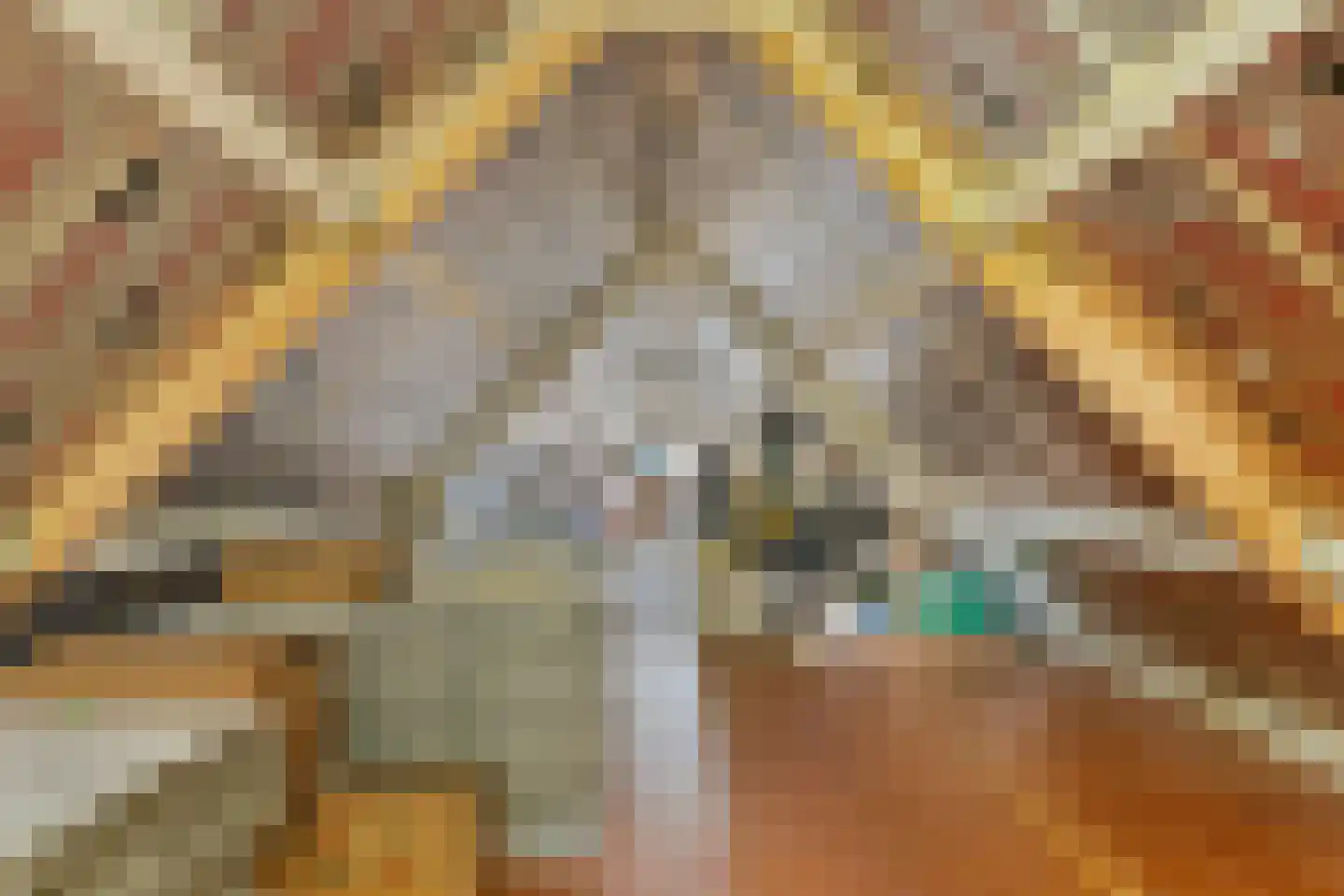 Visserijstraat 31 Wissenkerke thumbnail 33