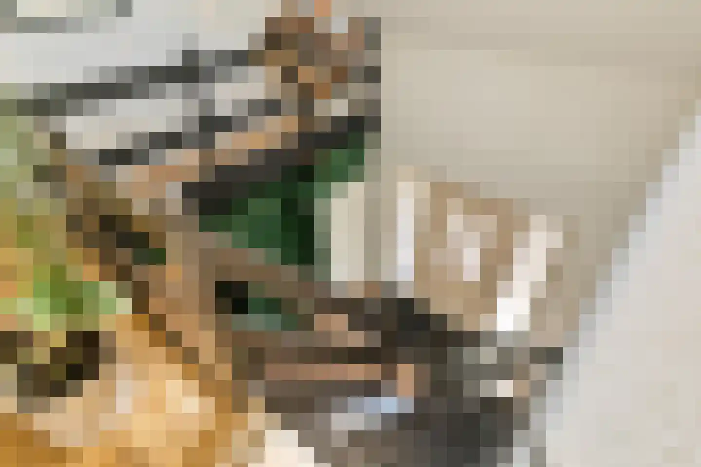 Visserijstraat 31 Wissenkerke thumbnail 6