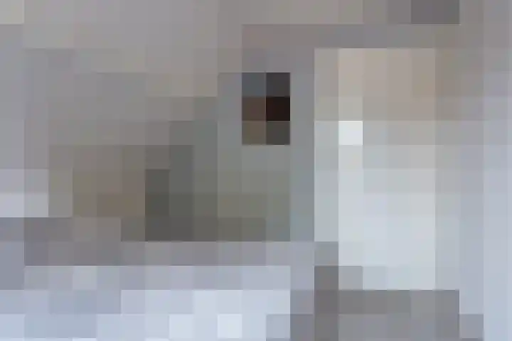 Visserijstraat 9 a Krimpen aan de Lek thumbnail 11