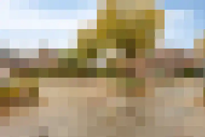 Visserijstraat 9 a Krimpen aan de Lek thumbnail 16