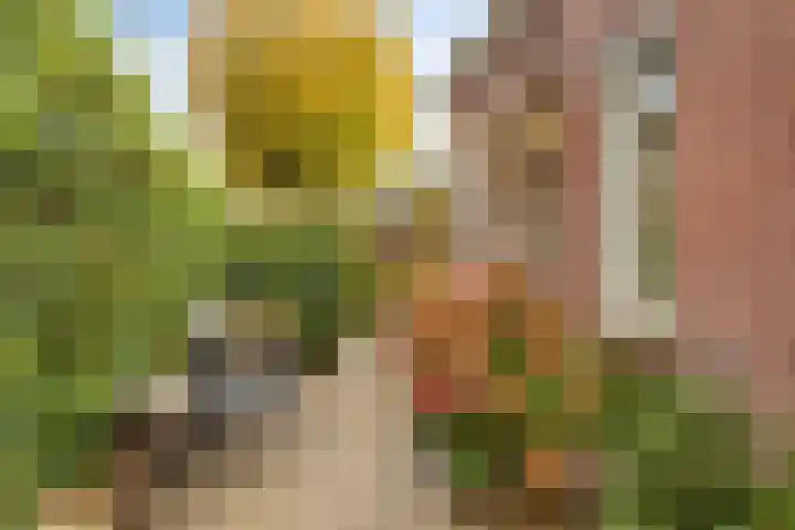 Visserijstraat 9 a Krimpen aan de Lek thumbnail 18