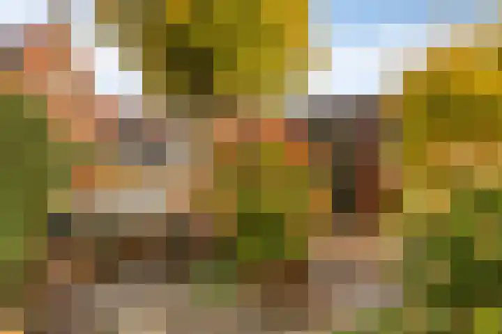 Visserijstraat 9 a Krimpen aan de Lek thumbnail 21