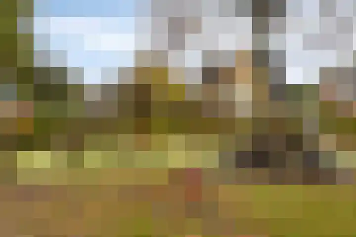 Visserijstraat 9 a Krimpen aan de Lek thumbnail 22