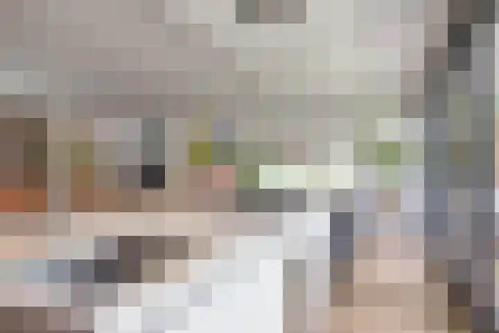 Visseringlaan 5 Emmeloord thumbnail 12