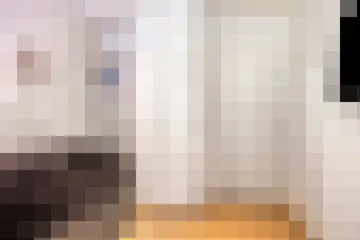 Visseringlaan 5 Emmeloord thumbnail 33