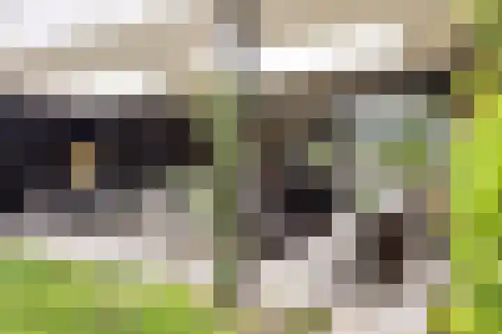 Visseringlaan 5 Emmeloord thumbnail 54
