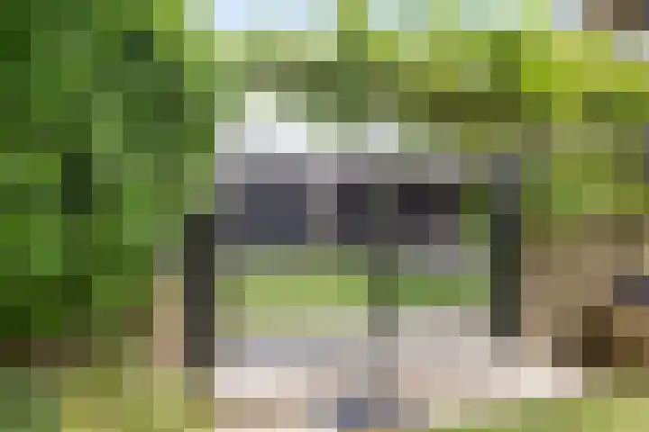 Visseringlaan 5 Emmeloord thumbnail 55