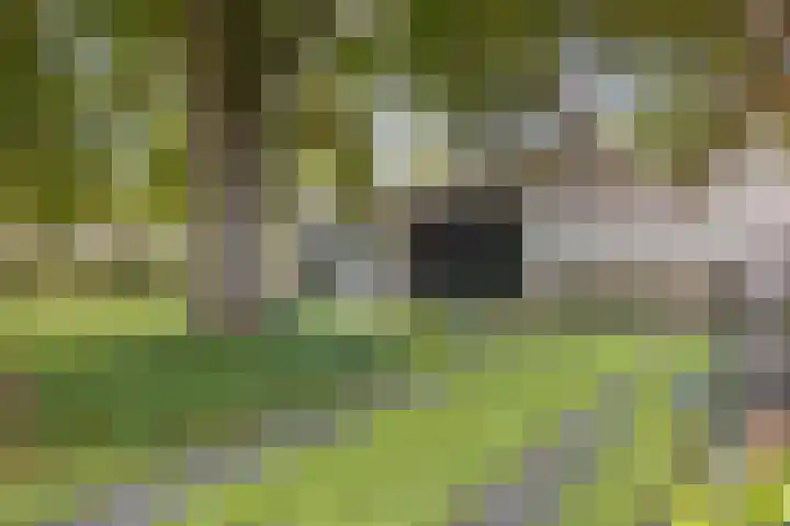 Visseringlaan 5 Emmeloord thumbnail 59