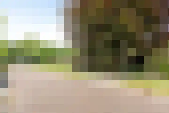 Visseringlaan 5 Emmeloord thumbnail 64