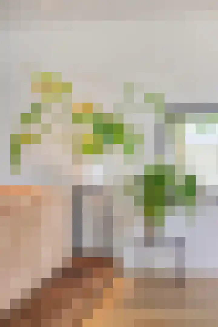 Visseringlaan 5 Emmeloord thumbnail 7