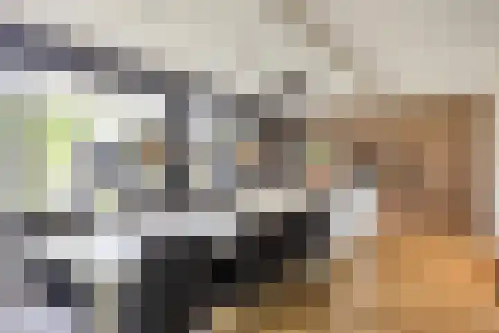 Visseringlaan 5 Emmeloord thumbnail 9
