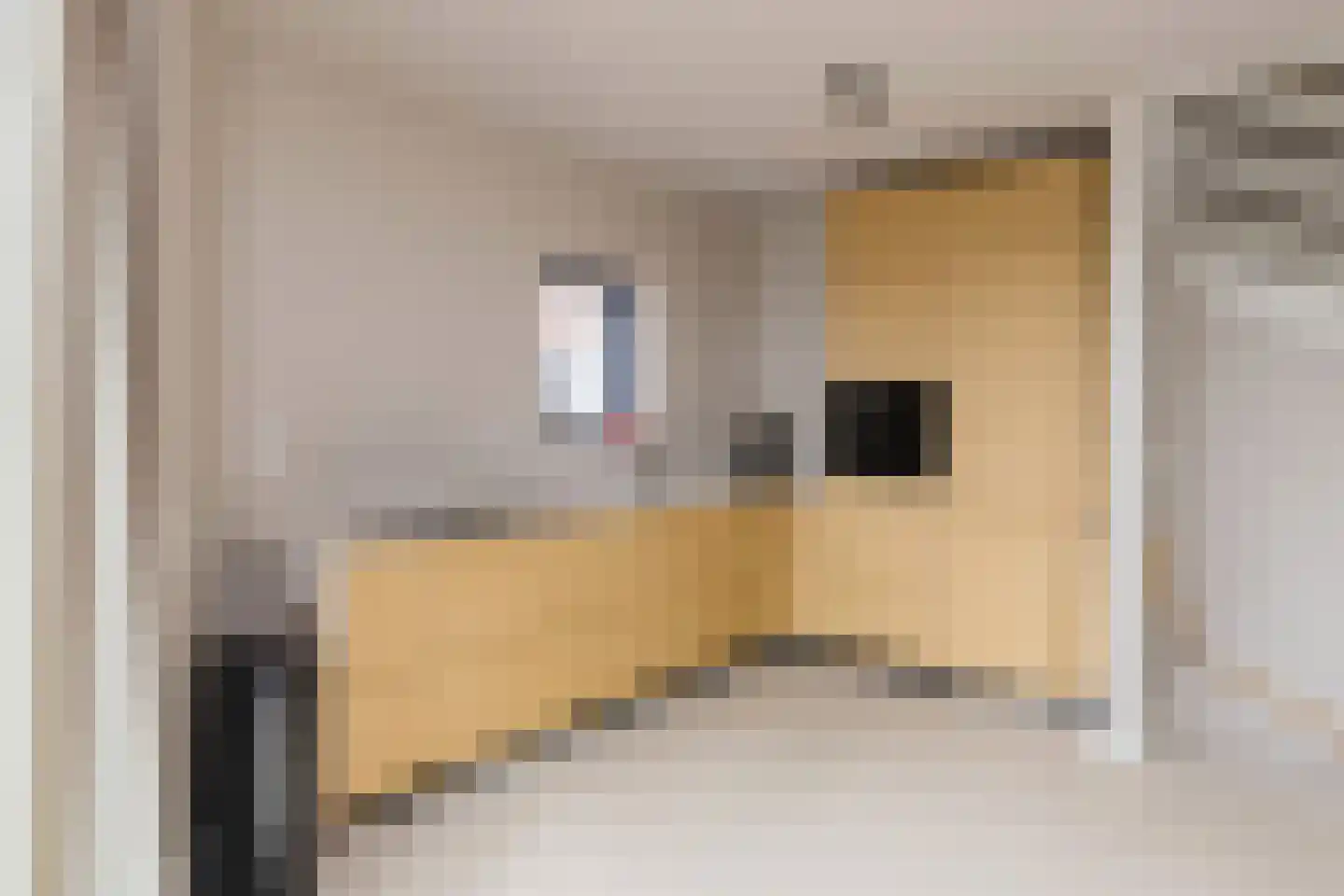 Visseringstraat 46 IJmuiden thumbnail 8