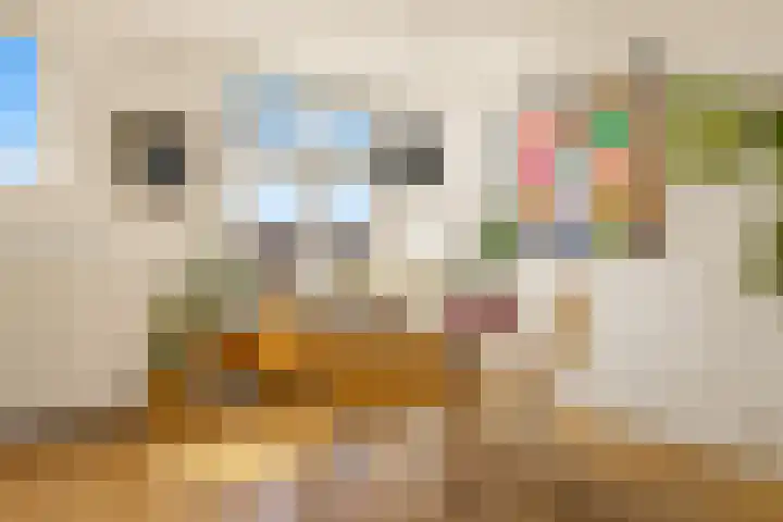 Visseringstraat 7 2 Amsterdam thumbnail 16