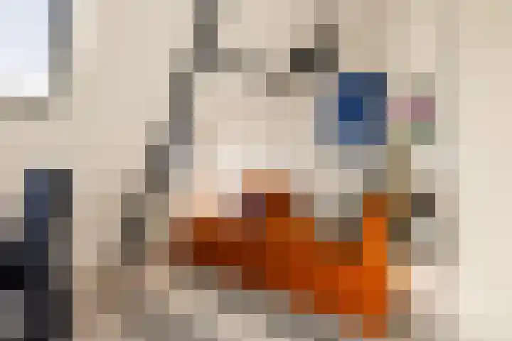 Visseringstraat 7 2 Amsterdam thumbnail 30