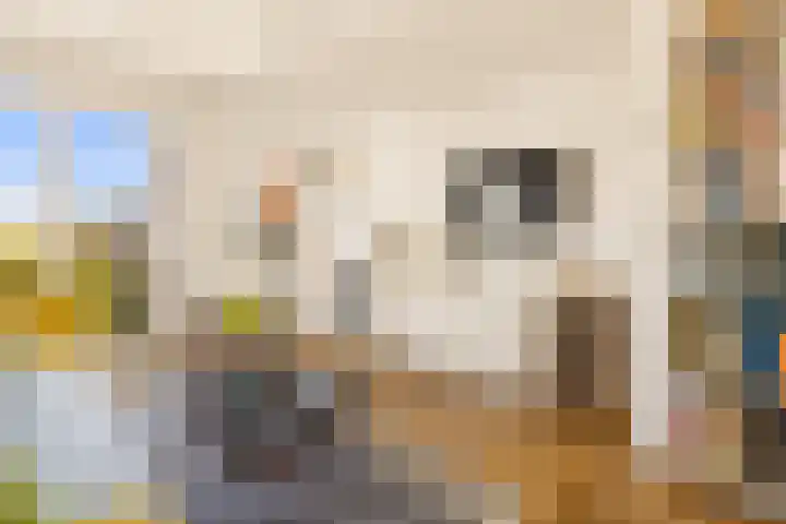 Visseringstraat 7 2 Amsterdam thumbnail 7