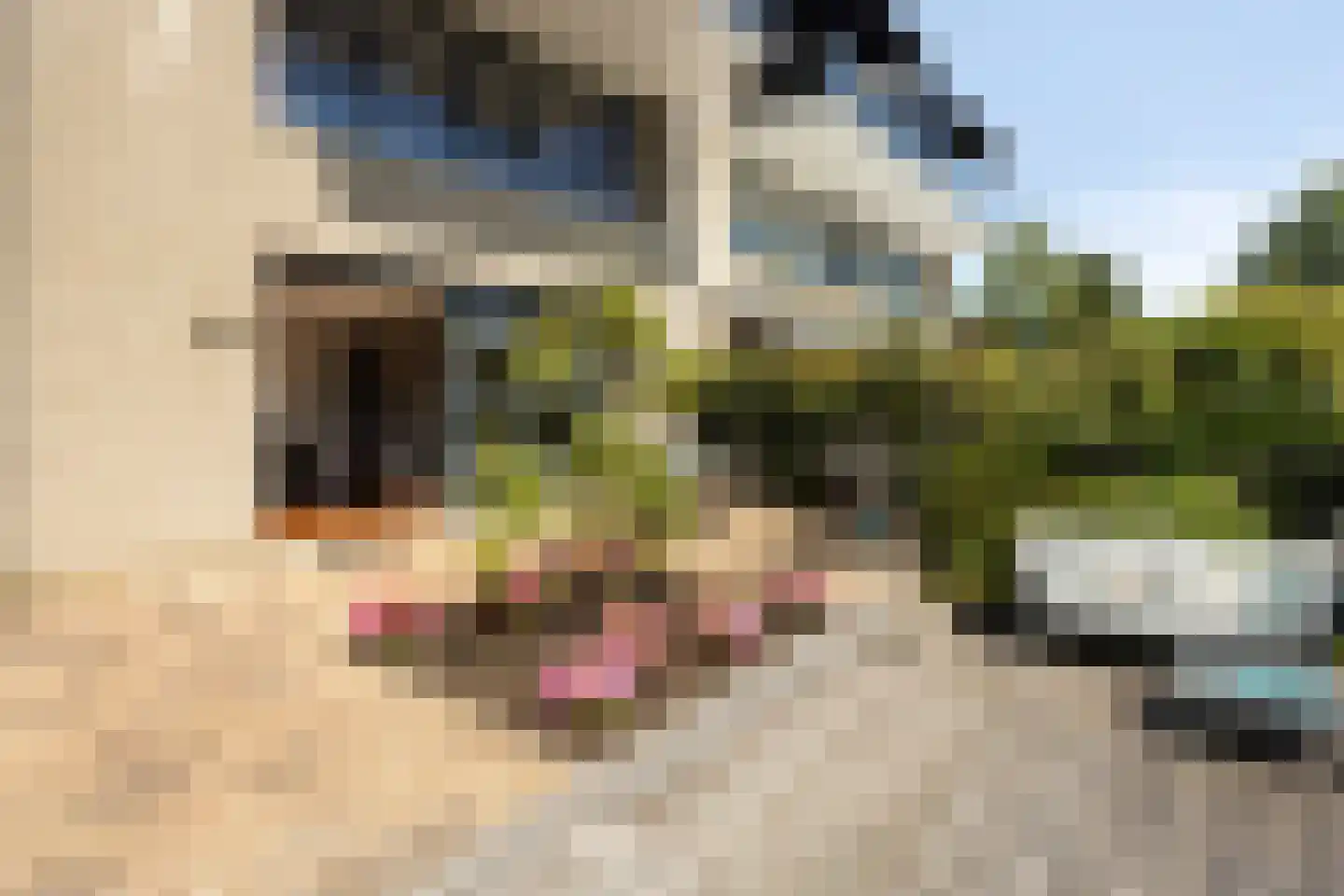 Visserkade 26 Lisse thumbnail 26