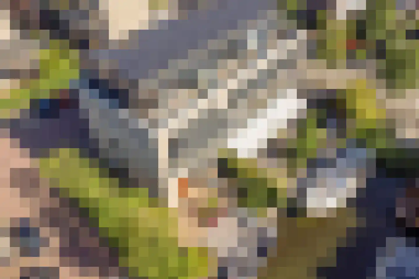 Visserkade 26 Lisse thumbnail 28