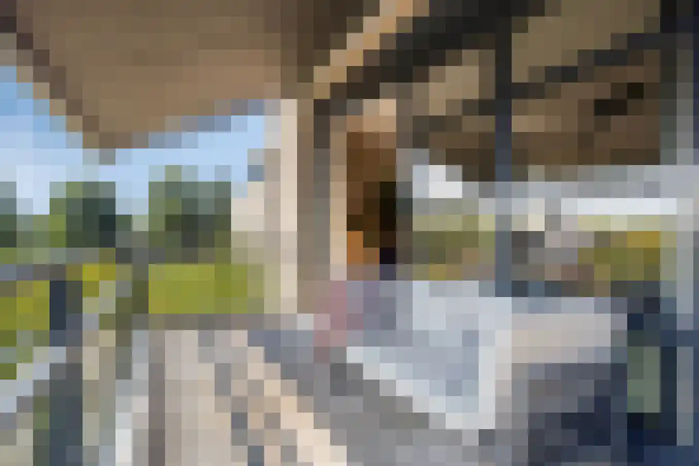 Visserkade 26 Lisse thumbnail 49