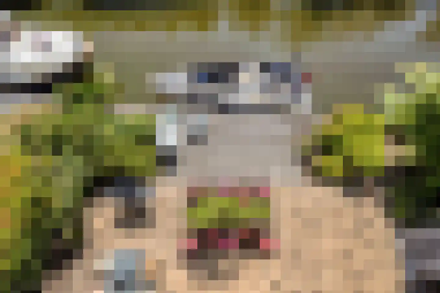 Visserkade 26 Lisse thumbnail 50
