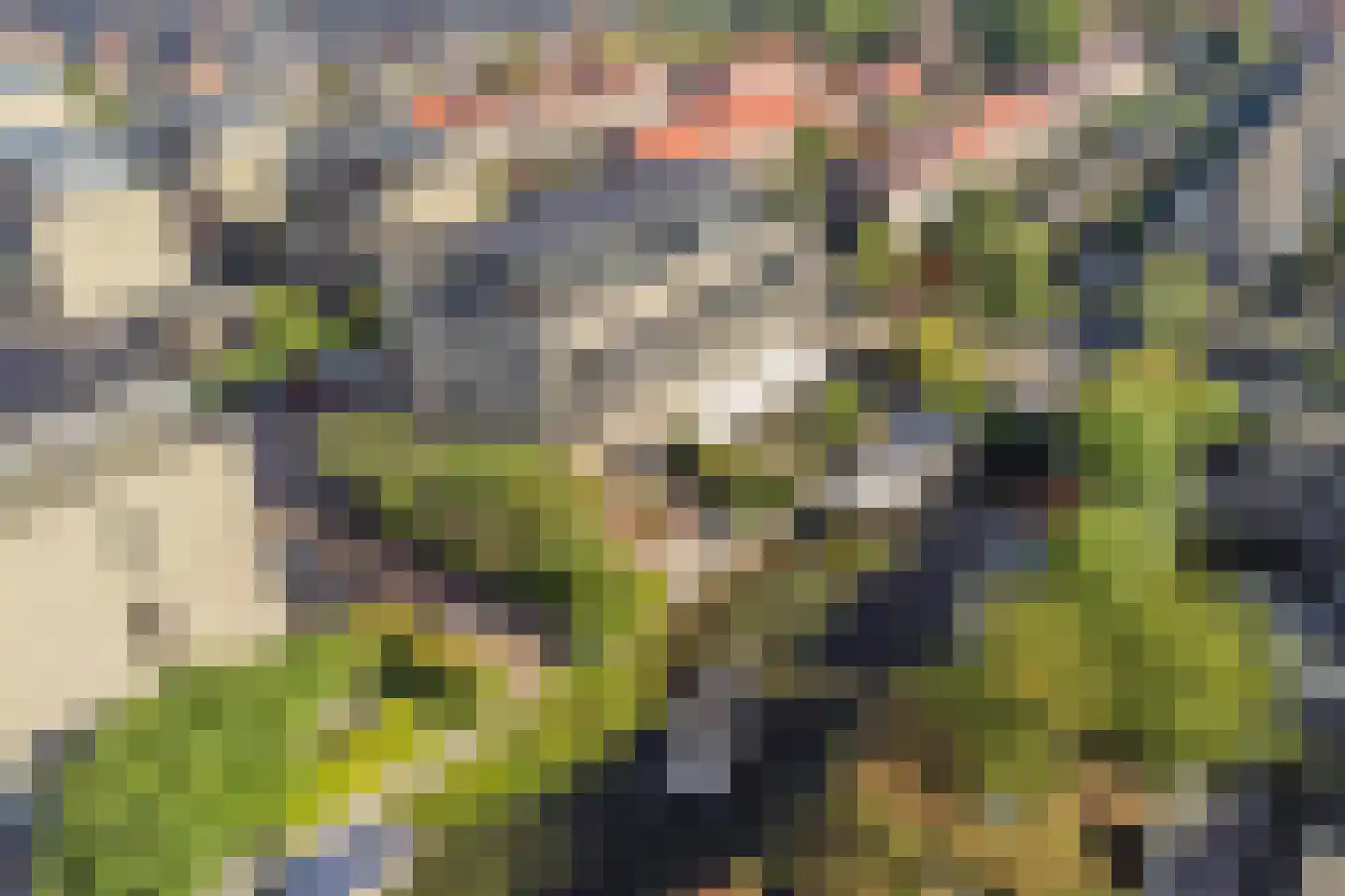 Visserkade 26 Lisse thumbnail 57