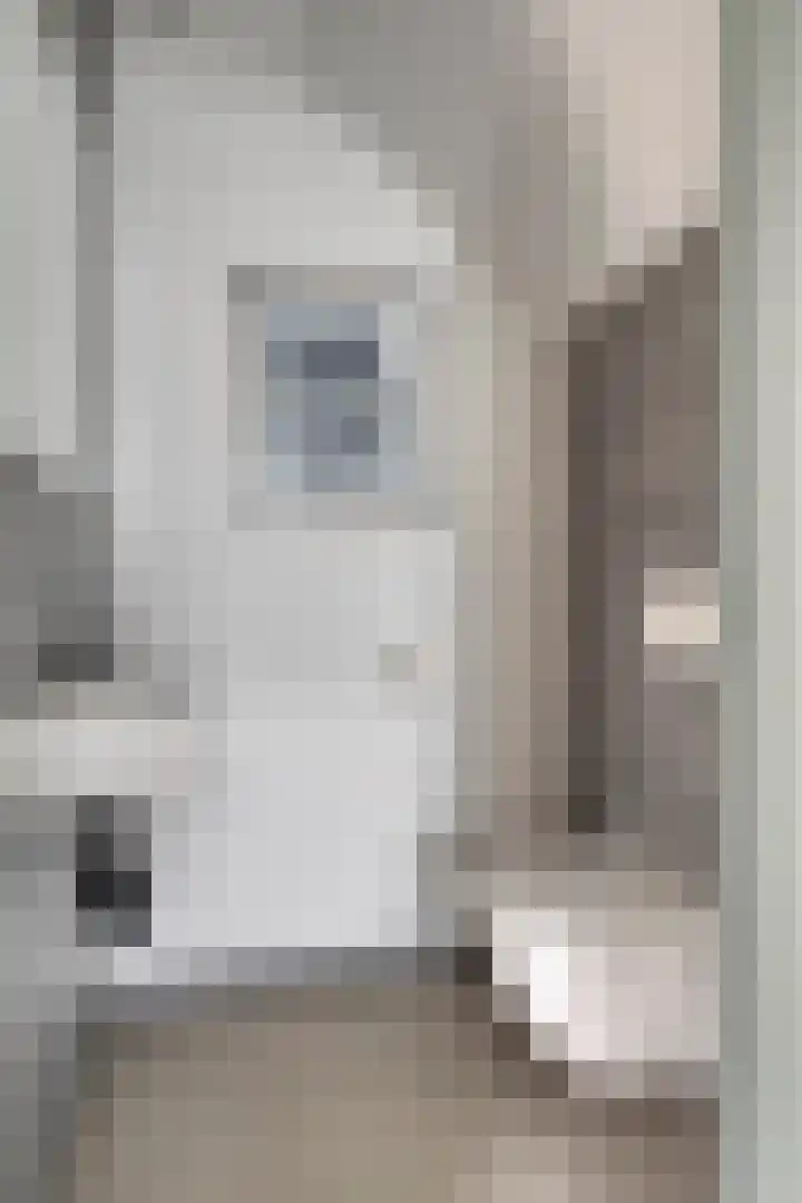 Visserkade 4 Lisse thumbnail 16
