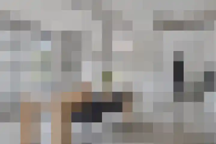 Visserkade 4 Lisse thumbnail 19