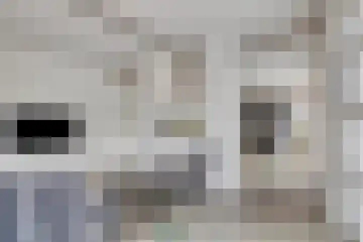 Visserkade 4 Lisse thumbnail 20