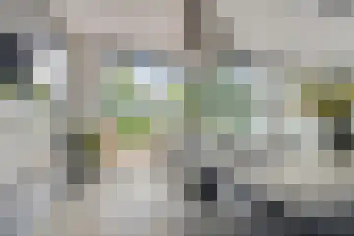 Visserkade 4 Lisse thumbnail 21