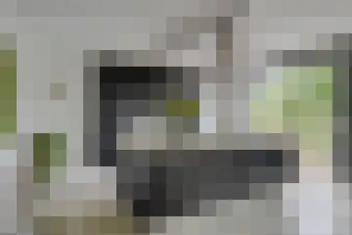 Visserkade 4 Lisse thumbnail 22