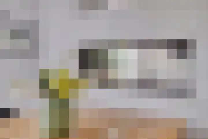 Visserkade 4 Lisse thumbnail 25