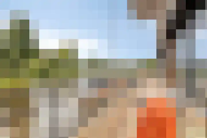Visserkade 4 Lisse thumbnail 26